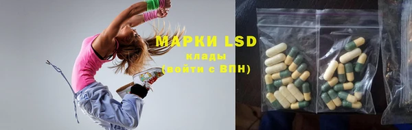 гашик Долгопрудный