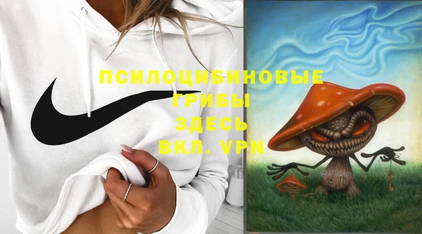 амф Надым
